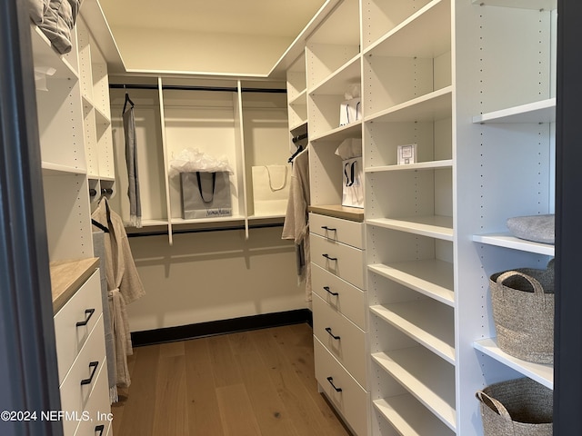 spacious closet with hardwood / wood-style floors