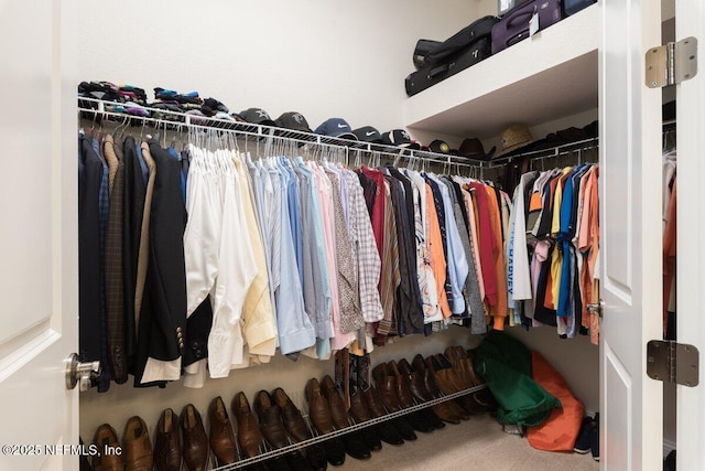 spacious closet featuring carpet floors