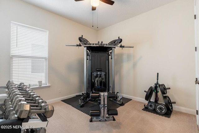 workout room with ceiling fan and carpet floors