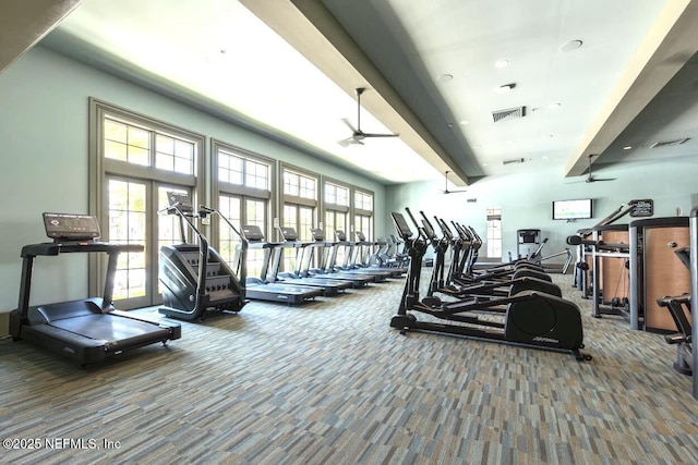 gym featuring carpet flooring and ceiling fan