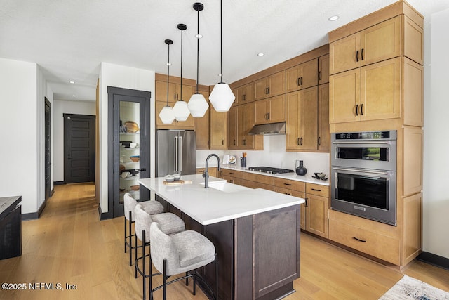 kitchen featuring appliances with stainless steel finishes, a kitchen island with sink, sink, light hardwood / wood-style flooring, and pendant lighting