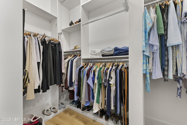 spacious closet featuring wood-type flooring