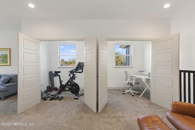 interior space featuring carpet floors and a wealth of natural light