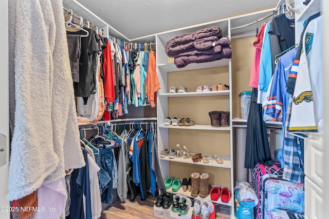 spacious closet with wood-type flooring