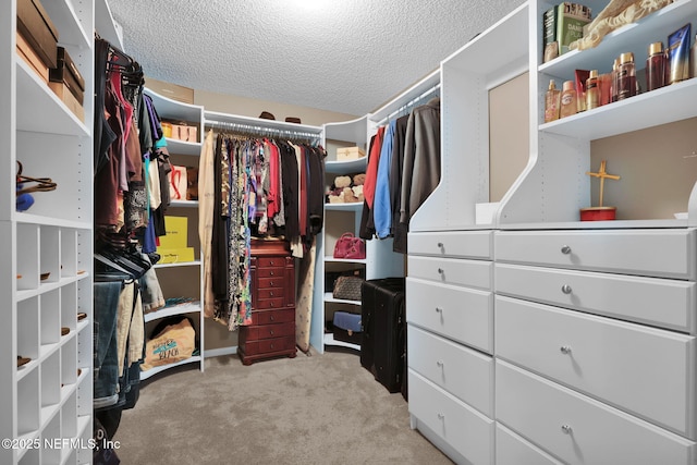 walk in closet featuring light colored carpet