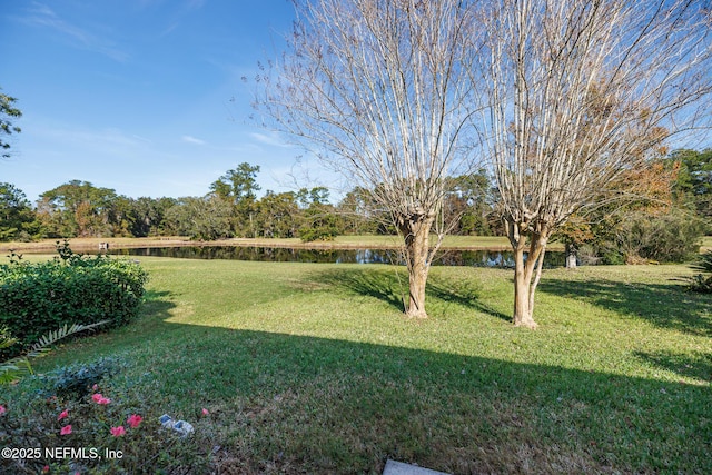 view of yard featuring a water view