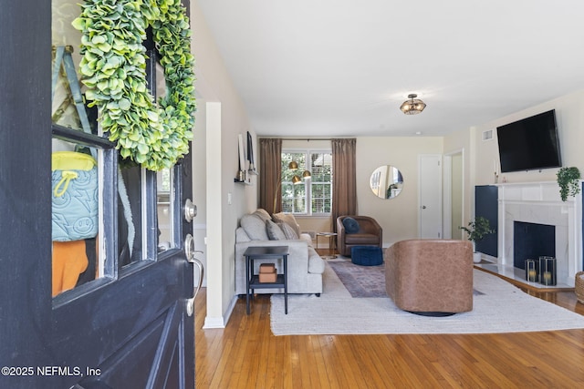 living room featuring a fireplace and light wood-type flooring