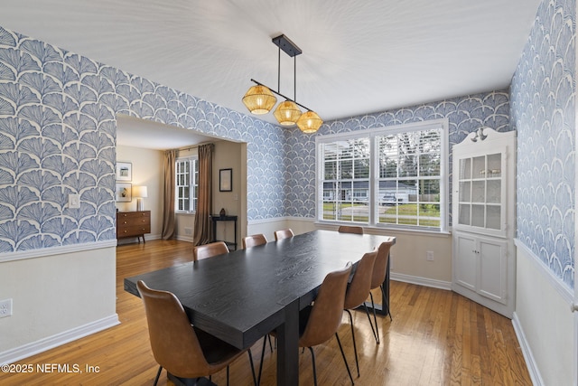 dining room with light hardwood / wood-style floors