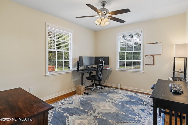 office area featuring hardwood / wood-style flooring and ceiling fan