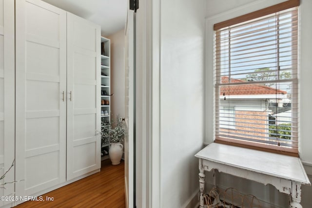 interior space featuring hardwood / wood-style floors and a wealth of natural light