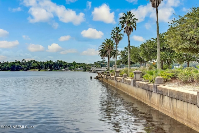 property view of water