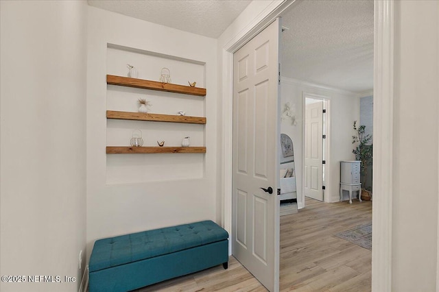 hall featuring crown molding, a textured ceiling, and light wood-type flooring