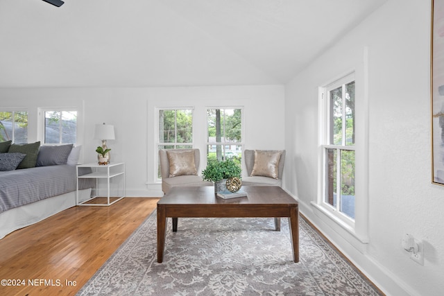 living room with hardwood / wood-style floors