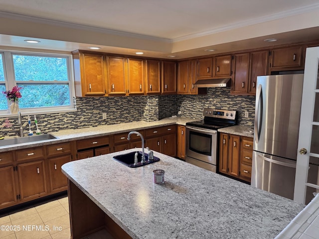 kitchen with sink, crown molding, ventilation hood, and stainless steel appliances