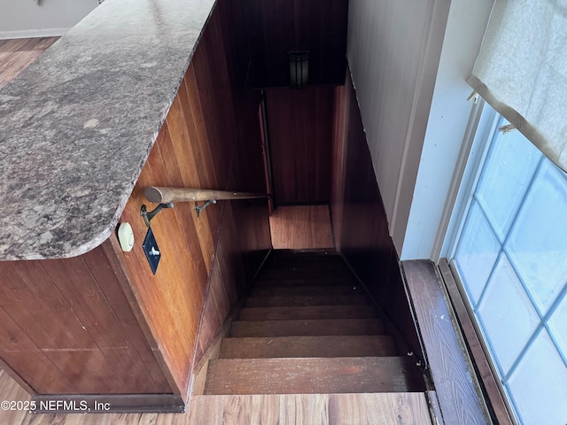 stairs with wood-type flooring and wood walls