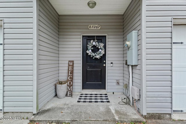 view of doorway to property