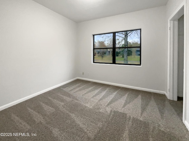 spare room with carpet floors