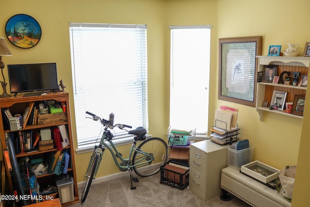 miscellaneous room featuring carpet flooring