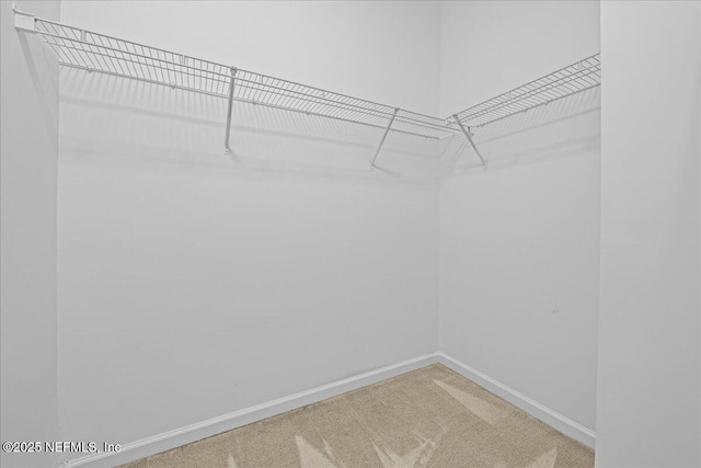 1560 Timber Trace Dr, Saint Augustine, FL 32092 - walk in closet featuring carpet