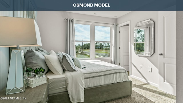 bedroom with carpet floors