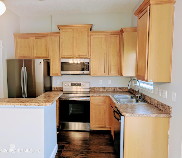 kitchen featuring stainless steel appliances, dark hardwood / wood-style floors, sink, and light brown cabinets