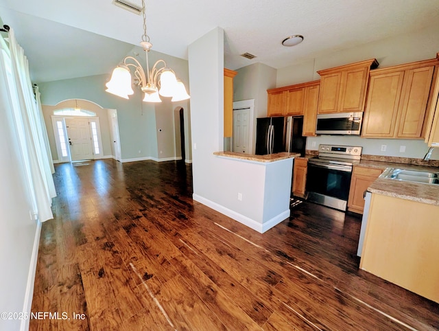 kitchen featuring sink, appliances with stainless steel finishes, hanging light fixtures, dark hardwood / wood-style floors, and a chandelier