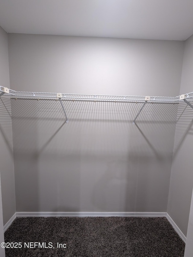 spacious closet with carpet