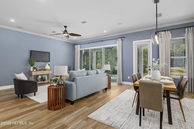 dining space with ornamental molding, light hardwood / wood-style floors, and ceiling fan