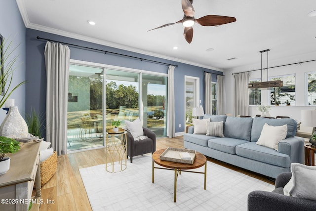 living room featuring light hardwood / wood-style flooring, ornamental molding, and ceiling fan