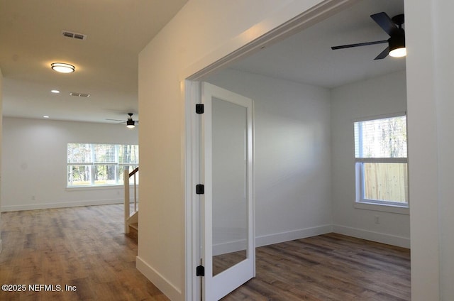 corridor featuring a healthy amount of sunlight and dark hardwood / wood-style flooring