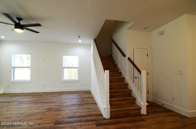 stairway featuring ceiling fan and hardwood / wood-style floors