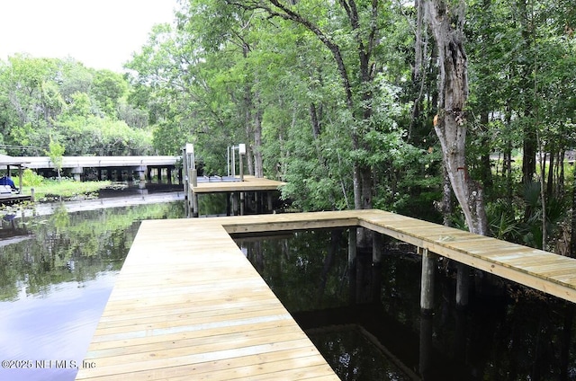 view of dock with a water view