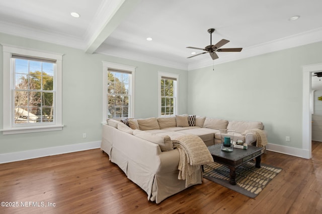 living room with crown molding, dark wood-type flooring, beamed ceiling, and ceiling fan