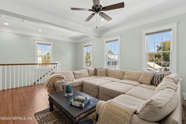 living room with ceiling fan, ornamental molding, and wood-type flooring