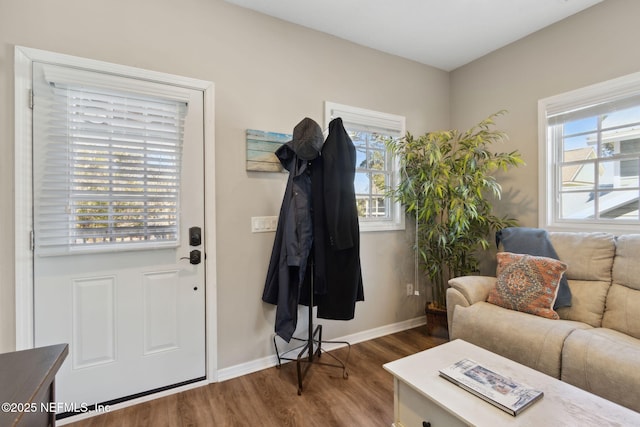 foyer featuring plenty of natural light and dark hardwood / wood-style floors