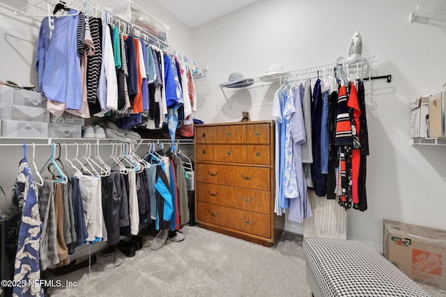 walk in closet featuring carpet flooring