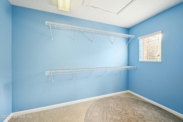 walk in closet with carpet flooring