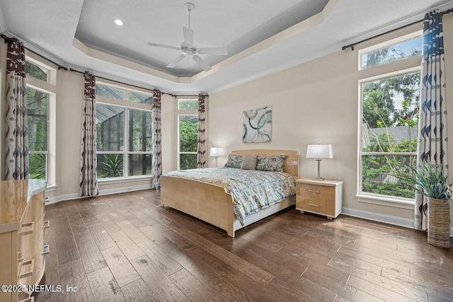 bedroom with multiple windows, dark wood-type flooring, ceiling fan, and a raised ceiling