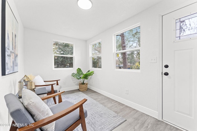 living area with light wood-type flooring