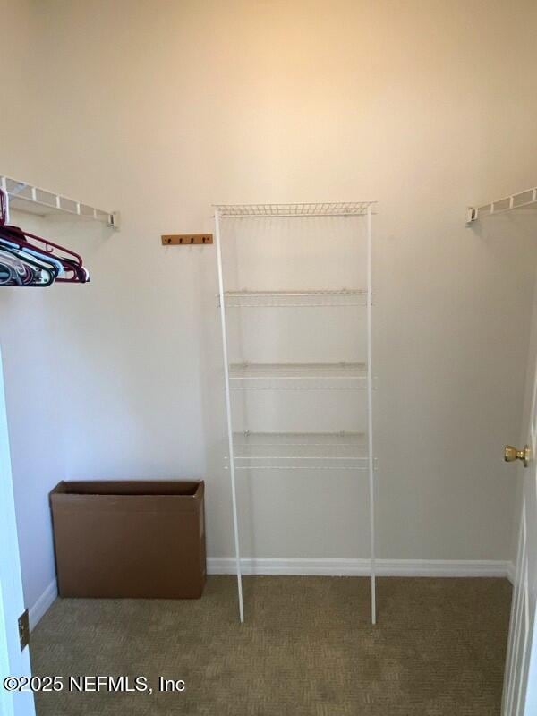 spacious closet with carpet flooring