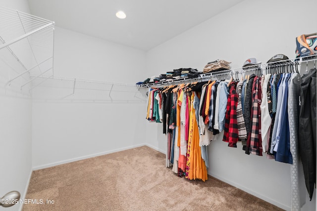 walk in closet featuring carpet flooring