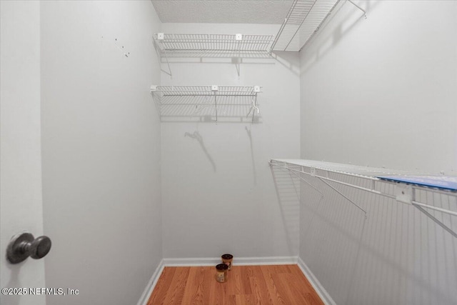 spacious closet with hardwood / wood-style floors