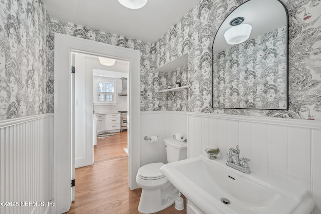 bathroom featuring wood-type flooring, toilet, and sink