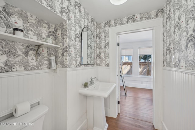 bathroom with wood-type flooring and toilet