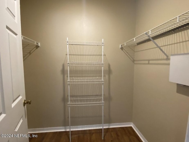 walk in closet with dark wood-type flooring