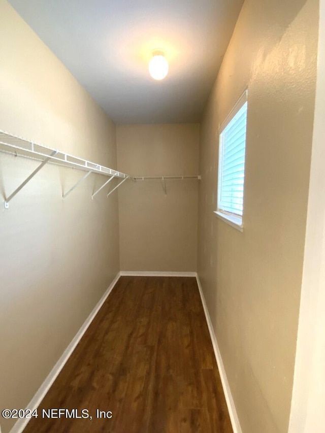 walk in closet with dark wood-type flooring