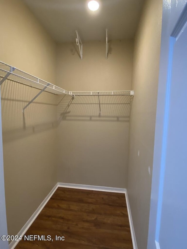 walk in closet featuring dark hardwood / wood-style flooring