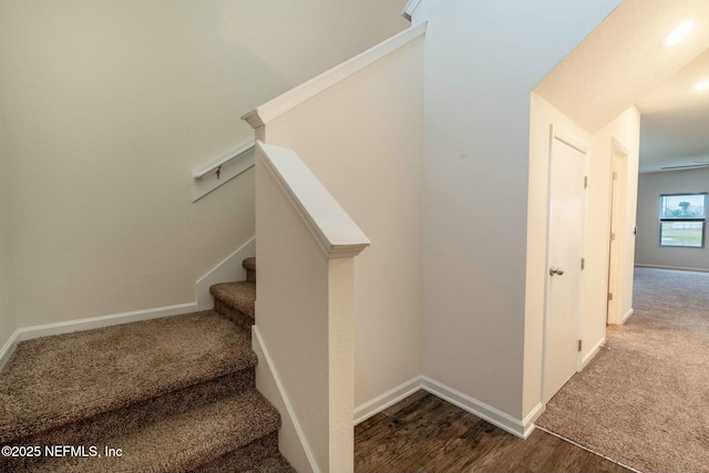 stairway with hardwood / wood-style floors