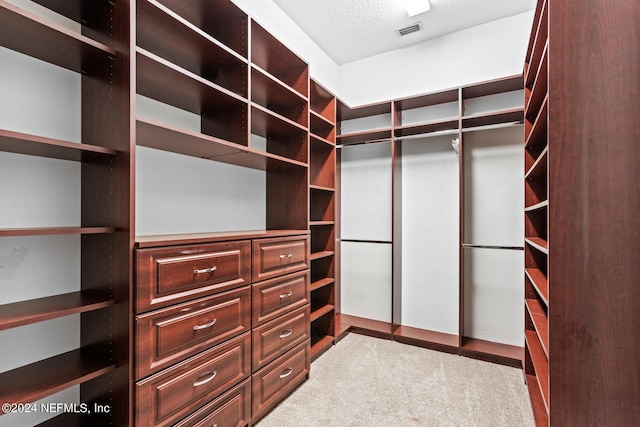 spacious closet featuring light colored carpet