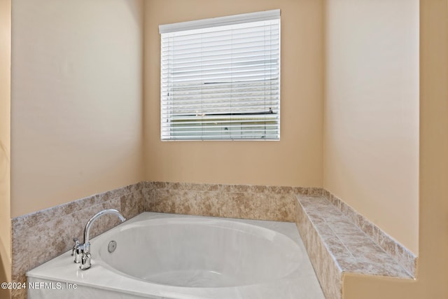 bathroom featuring a washtub